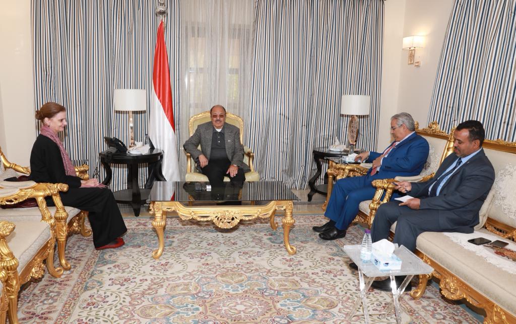			 نائب رئيس الجمهورية يستعرض تجاوزات وخروقات الحوثيين لاتفاق الحديدة